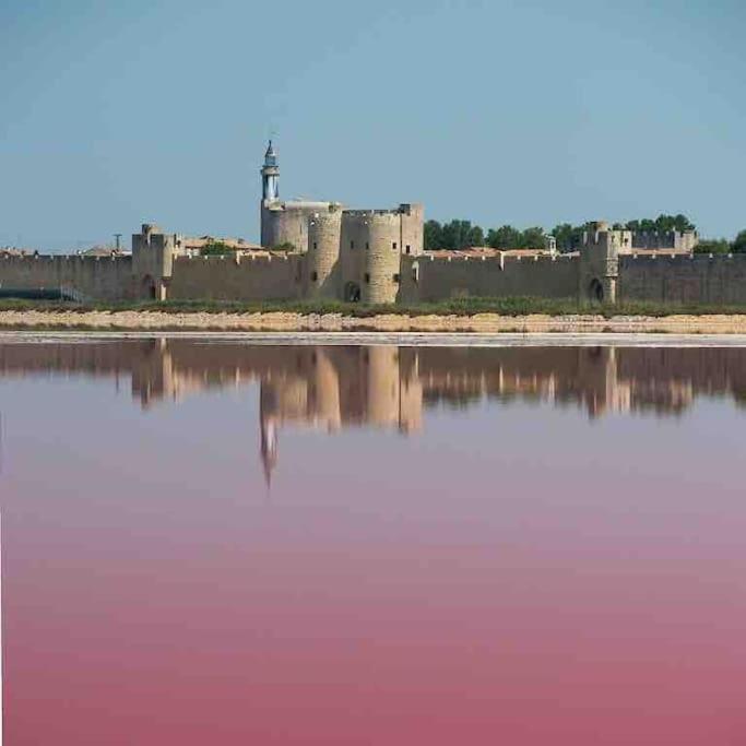 Maison Chaleureuse A 5 Mins Des Remparts Aigues-Mortes Bagian luar foto