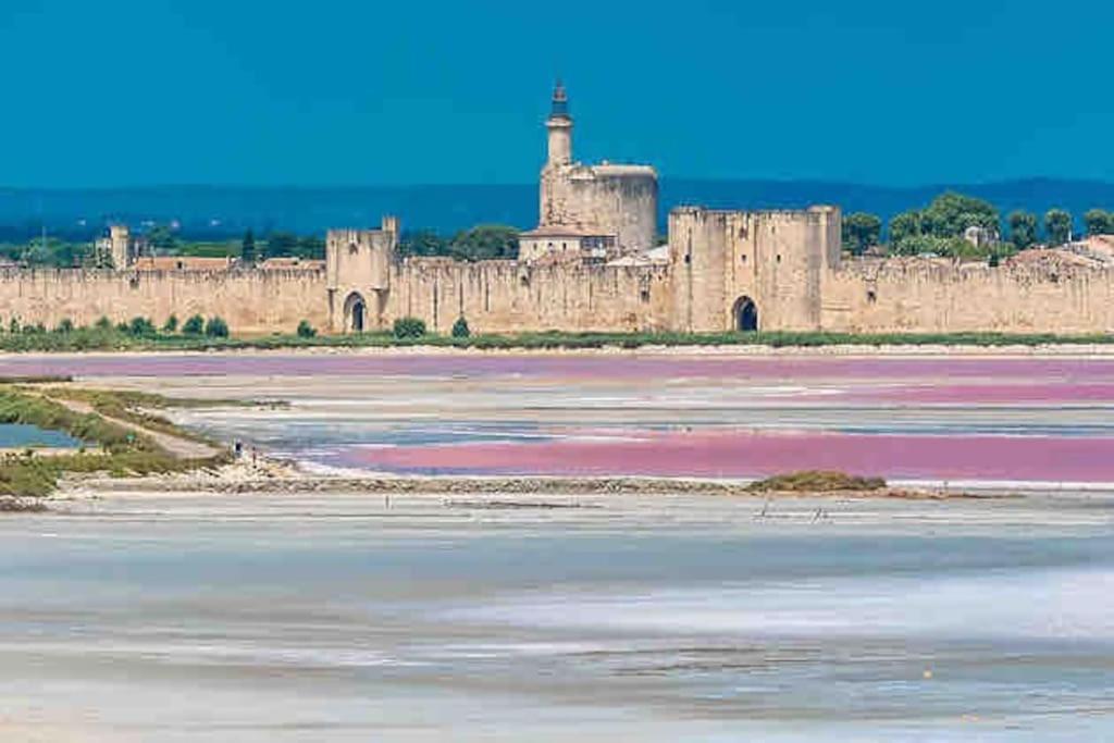 Maison Chaleureuse A 5 Mins Des Remparts Aigues-Mortes Bagian luar foto